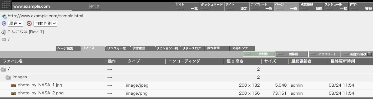 zip ファイル中のファイルがページリソースとして登録されています