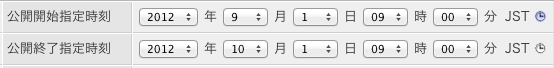 公開時刻指定
